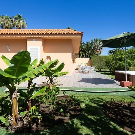 Finca La Gaviota - Los Limoneros Icod De Los Vinos Exterior foto
