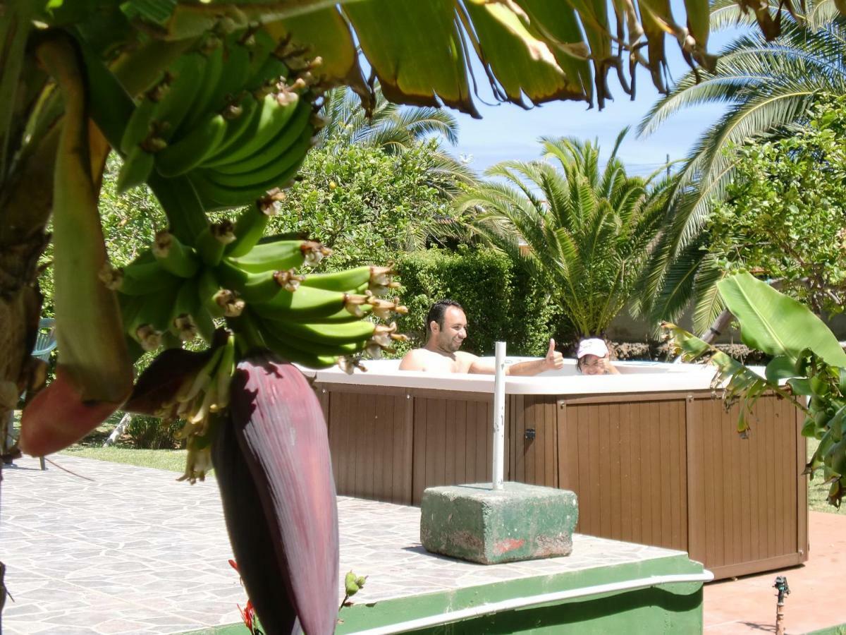 Finca La Gaviota - Los Limoneros Icod De Los Vinos Exterior foto